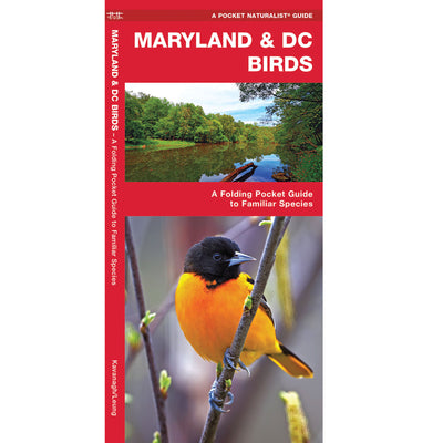 Maryland & DC Birds Pocket Naturalist Guide