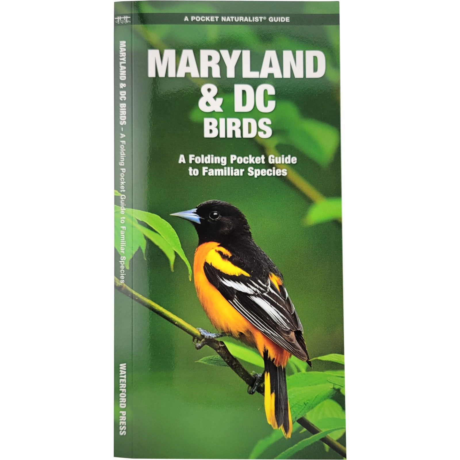 Maryland & DC Birds Pocket Naturalist Guide
