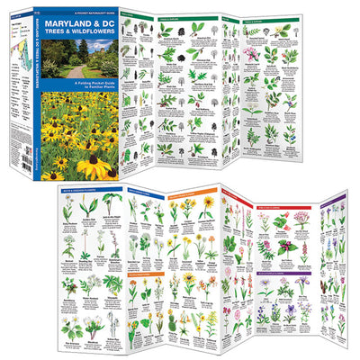 Maryland & DC Trees & Wildflowers Pocket Naturalist Guide Inside