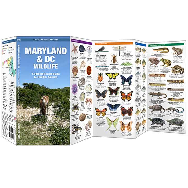 Maryland &amp; DC Wildlife Pocket Naturalist Guide