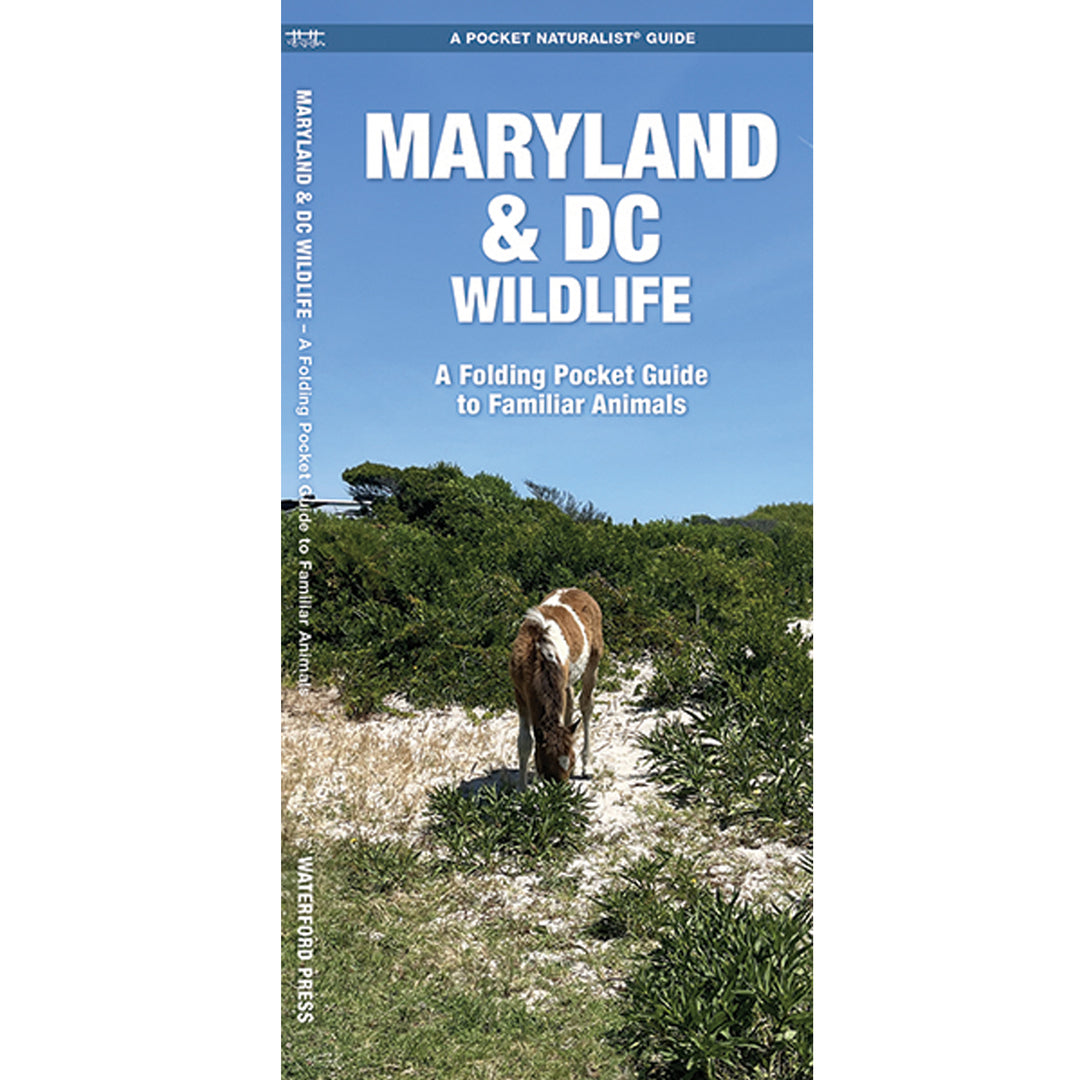 Maryland &amp; DC Wildlife Pocket Naturalist Guide