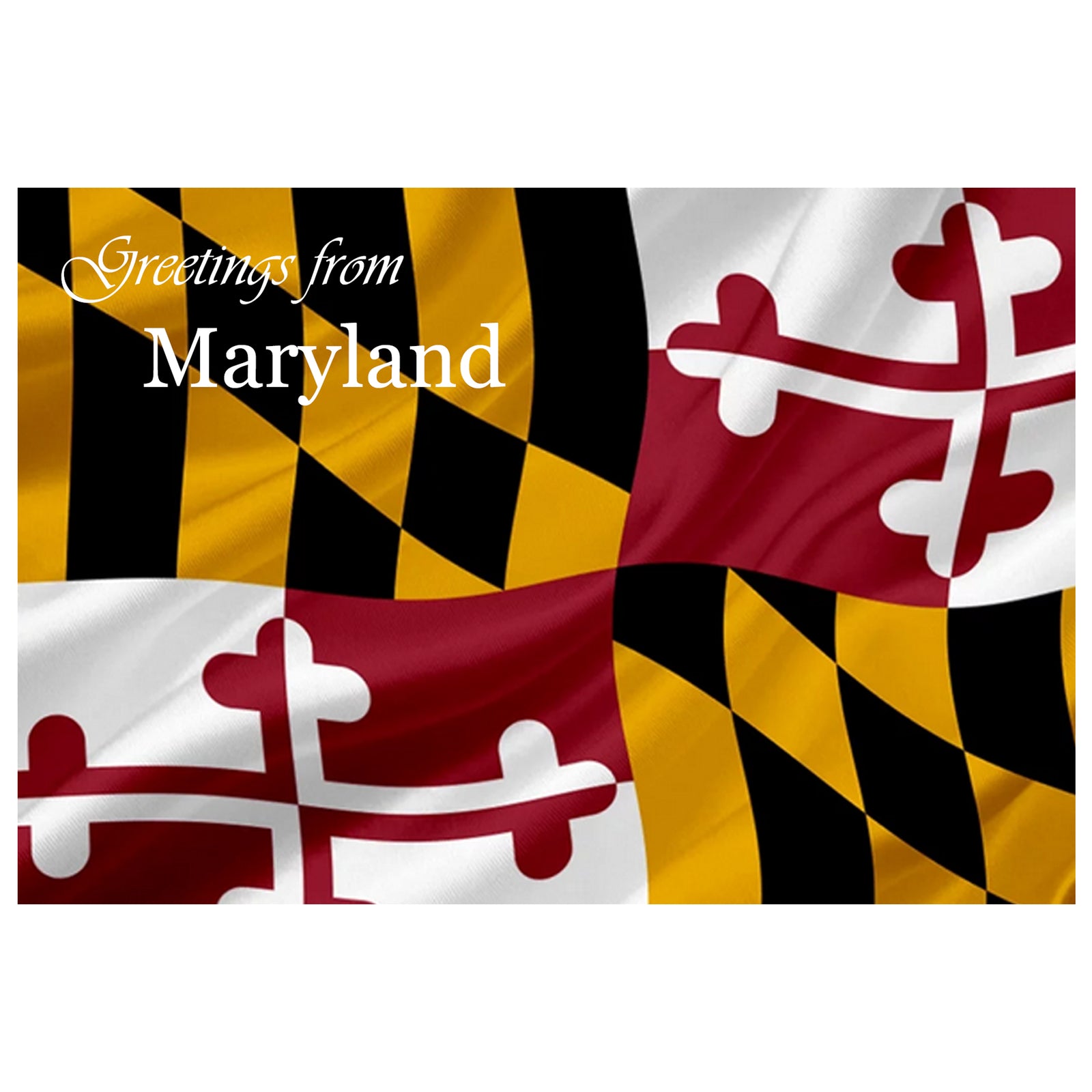 Waving Maryland Flag postcard with 'Greetings from Maryland' text