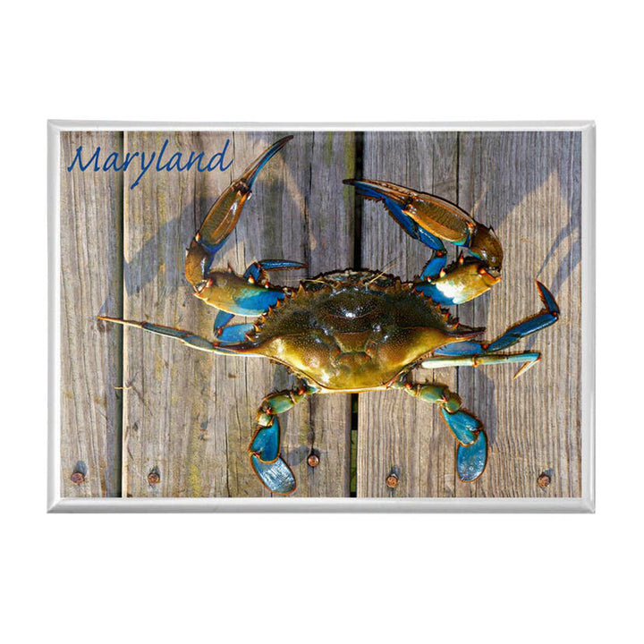 Blue Crab on Dock Refrigerator Magnet
