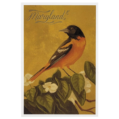 maryland baltimore oriole oil painting postcard