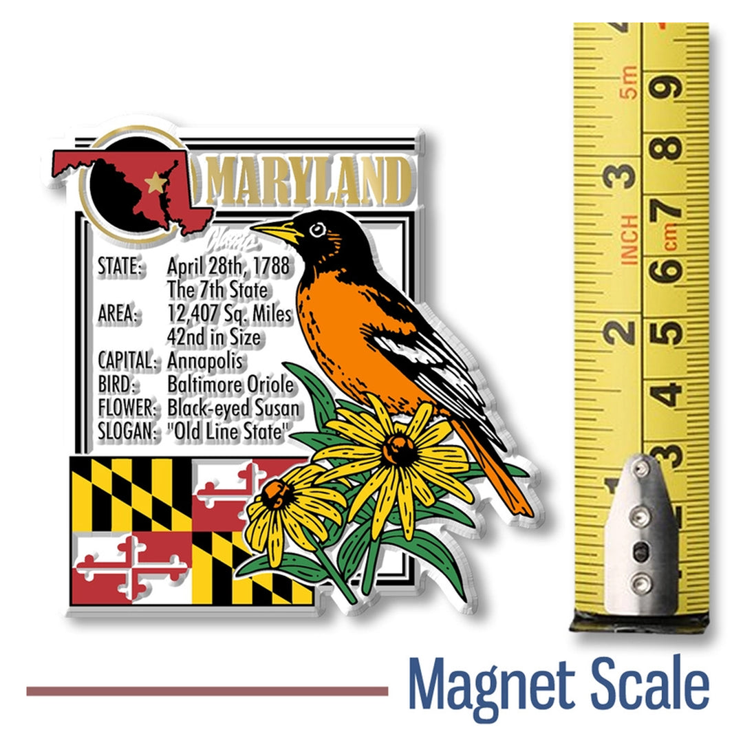 Maryland State Montage Magnet Size Scale