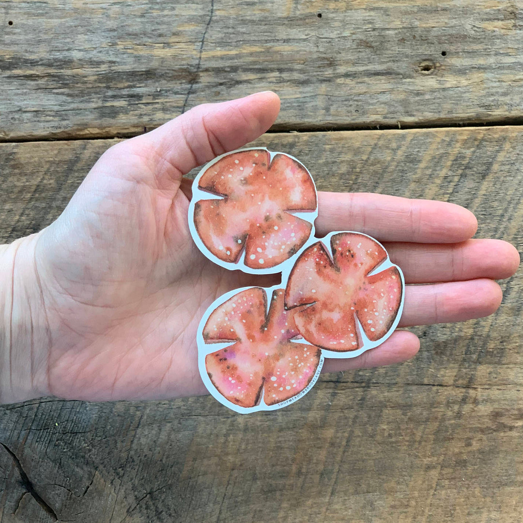 Pork Roll Die Cut Vinyl Sticker (scene)