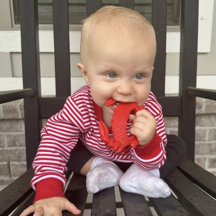Baby in a red and white striped outfit holding a red crab teething toy on a black chair.
