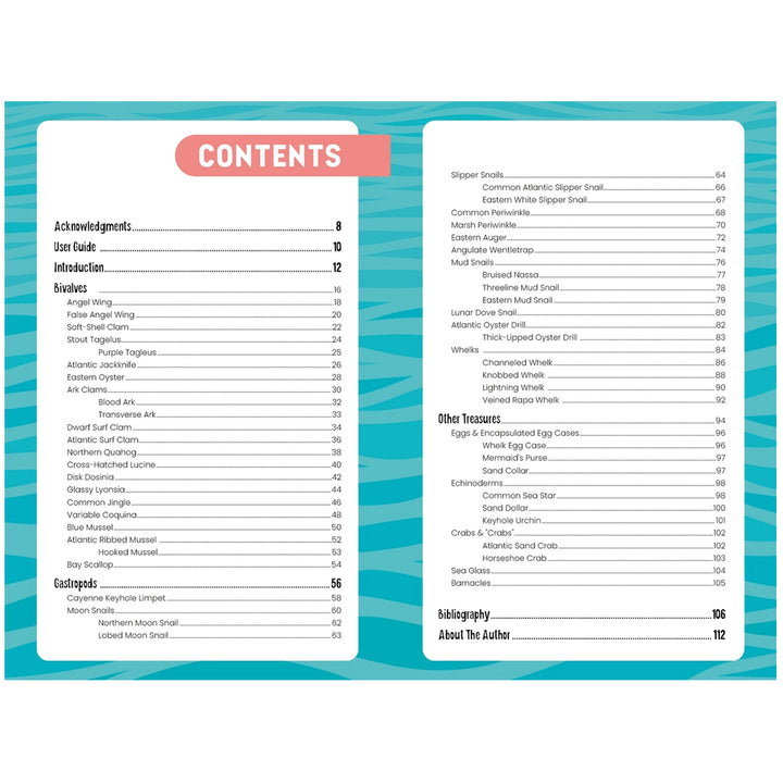 Seashells of Delmarva Identify and Learn Book - Contents