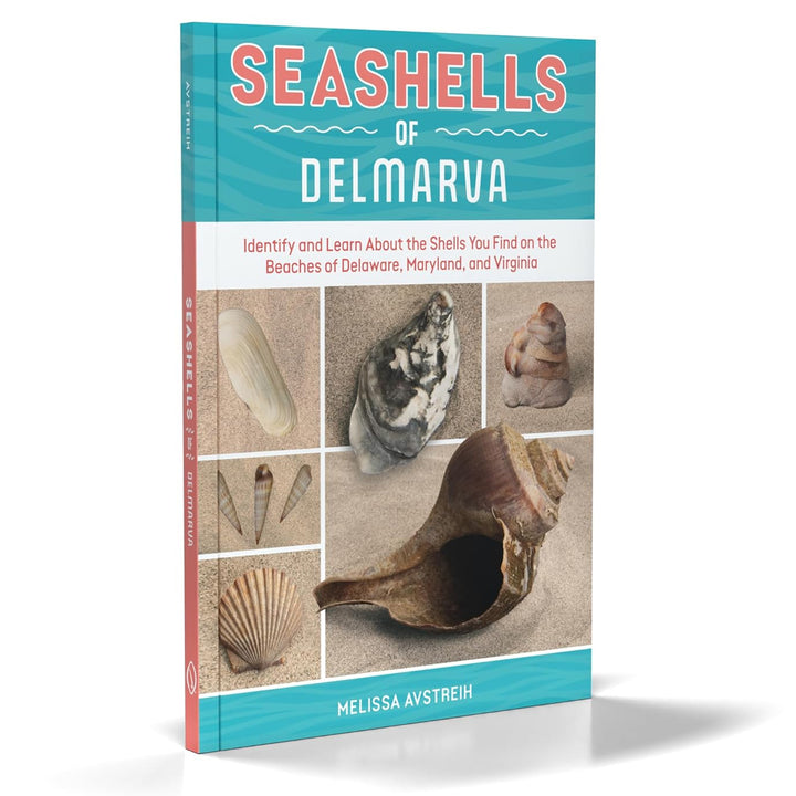 Seashells of Delmarva Identify and Learn Book