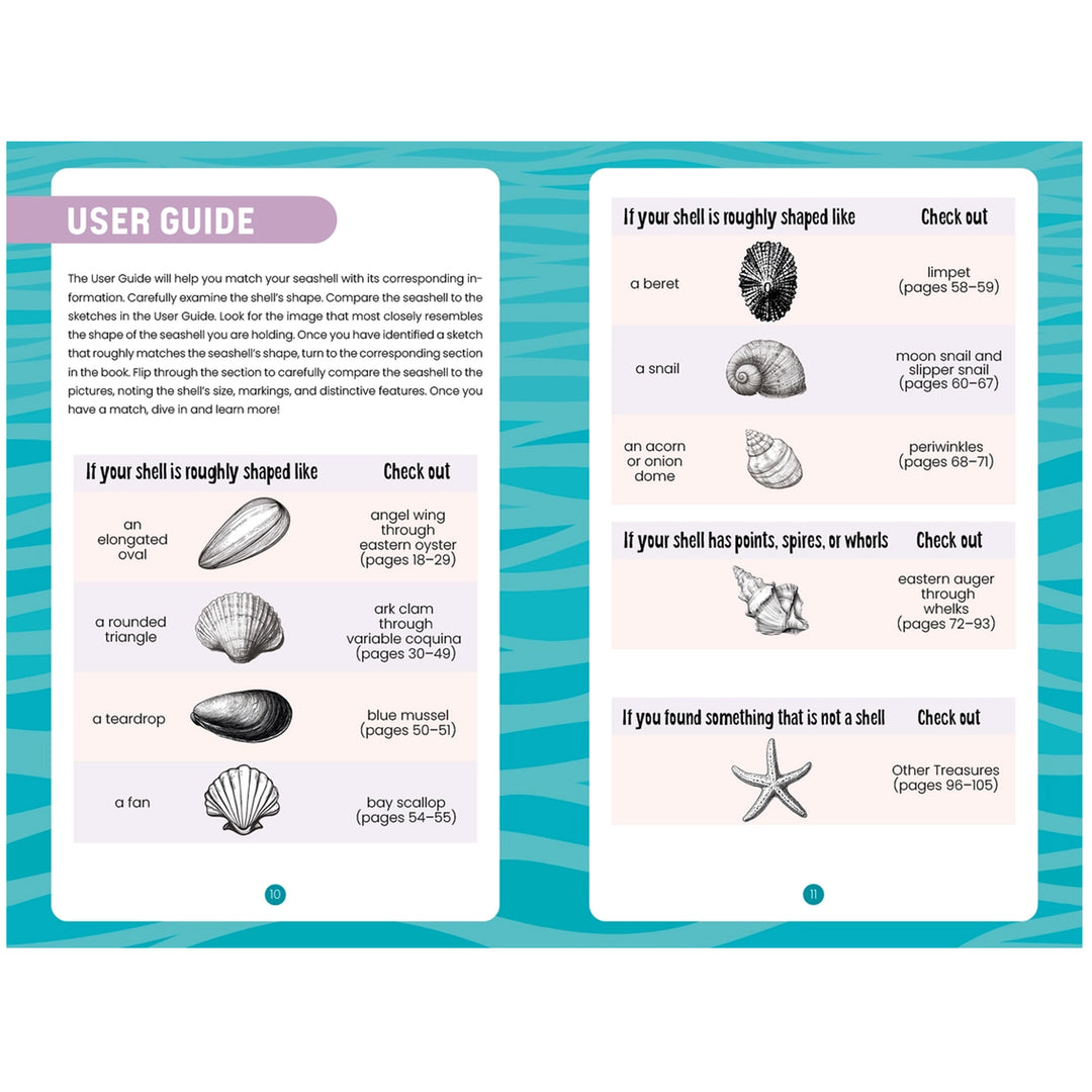 Seashells of Delmarva Identify and Learn Book - User Guide