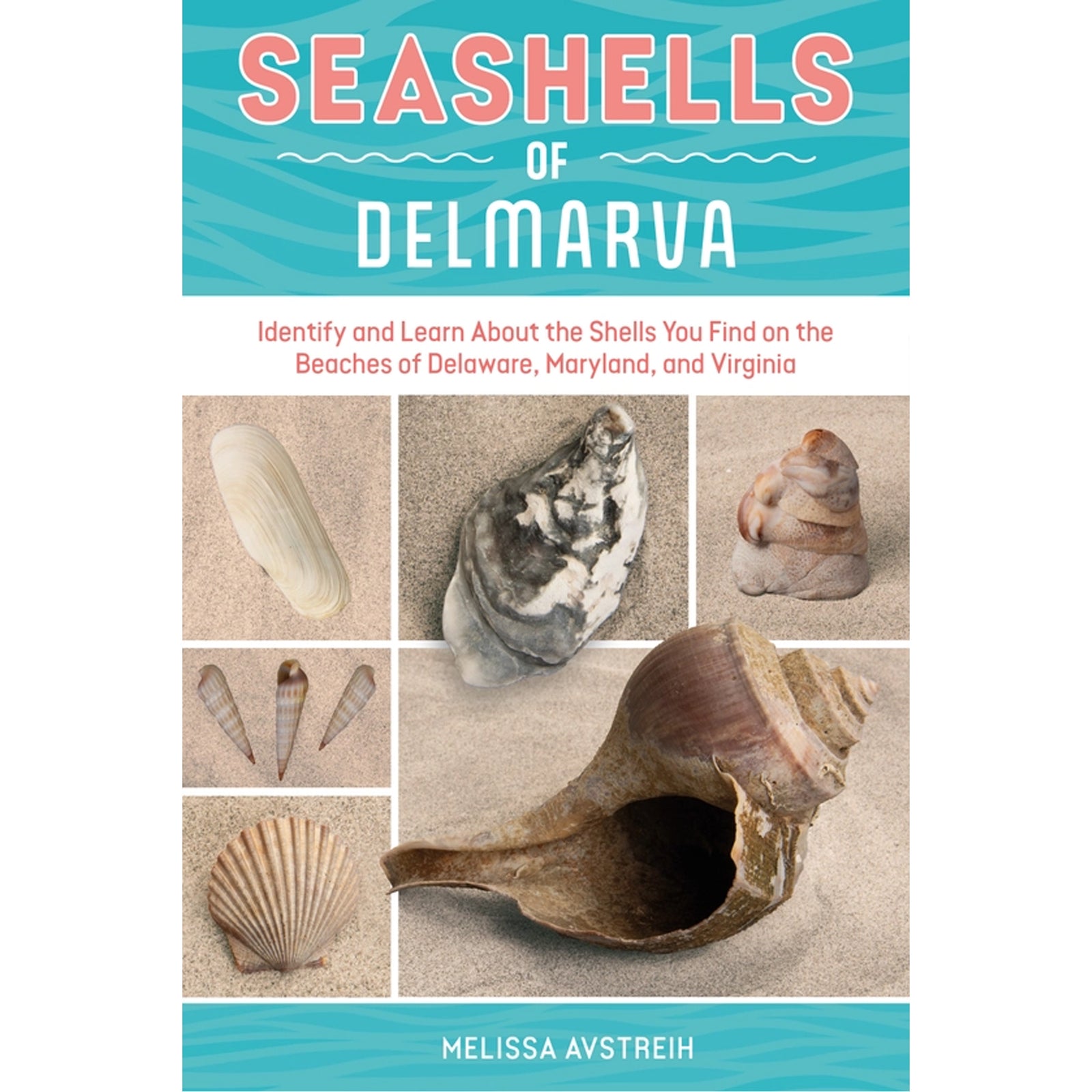 Seashells of Delmarva Identify and Learn Book