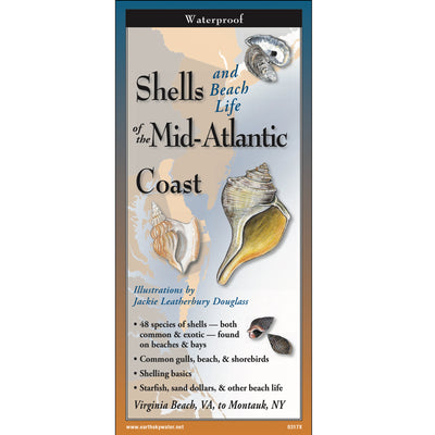 Shells and Beach Life of the Mid-Atlantic Coast Folding Guide