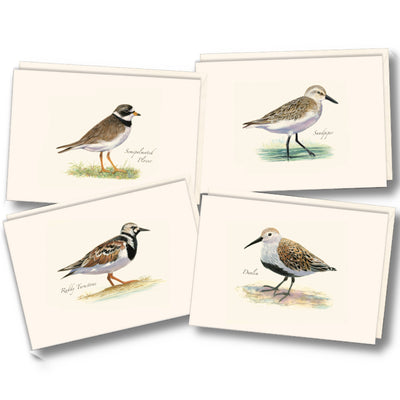 Shorebird Assortment Illustrated Notecards Set of 8