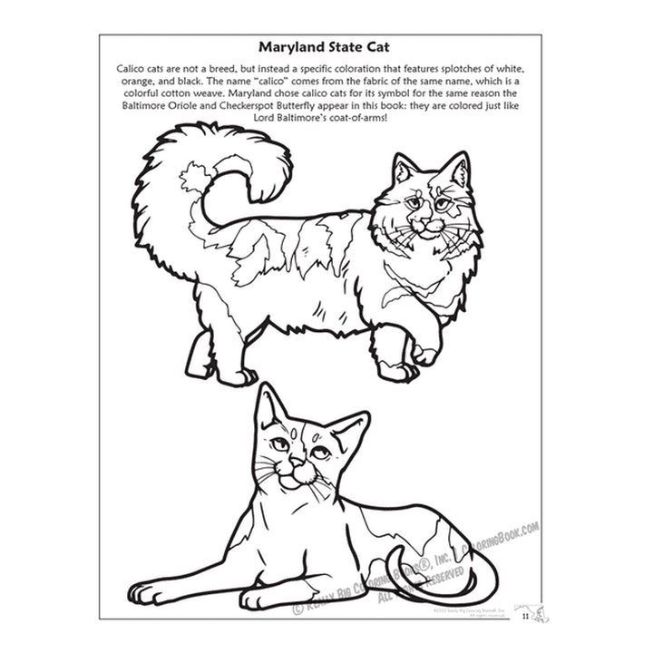 State of Maryland Coloring &amp; Activity Book - Inside Page