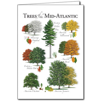 Trees of the Mid-Atlantic Card