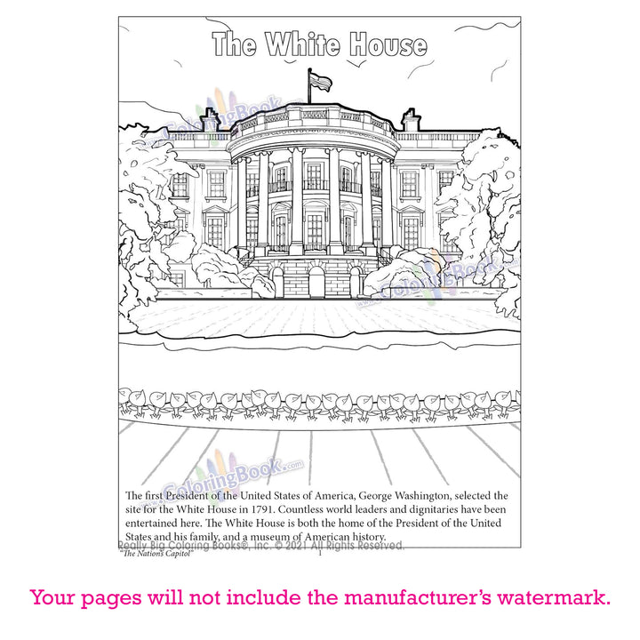 Washington D.C. (The Nation&