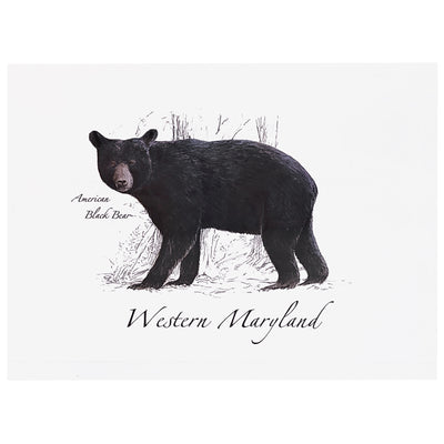 western maryland black bear greeting card