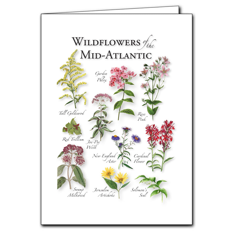 Wildflowers of the Mid-Atlantic Card