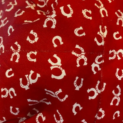 Horseshoes on Red Fabric Swatch