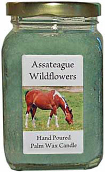Assateague Wildflowers Palm Wax Candle