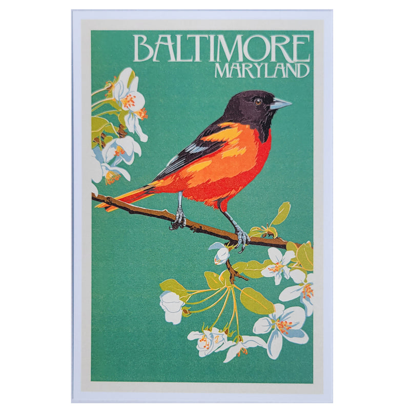 Postcard - Baltimore Maryland Oriole on Branch