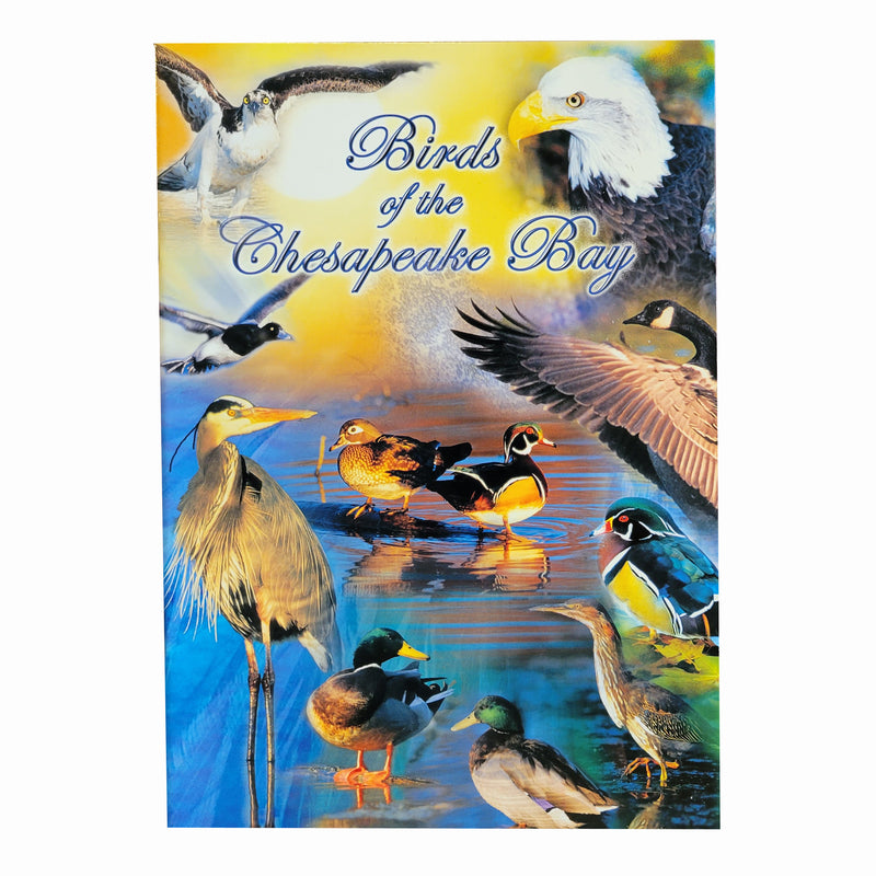 Birds of the Chesapeake Bay Booklet