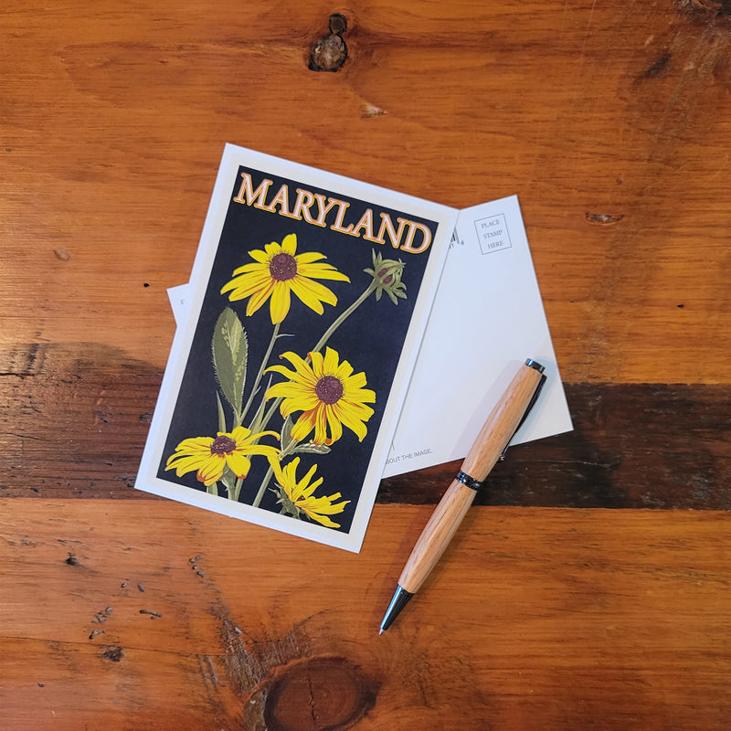 Postcard - Maryland Black Eyed Susans (scene)
