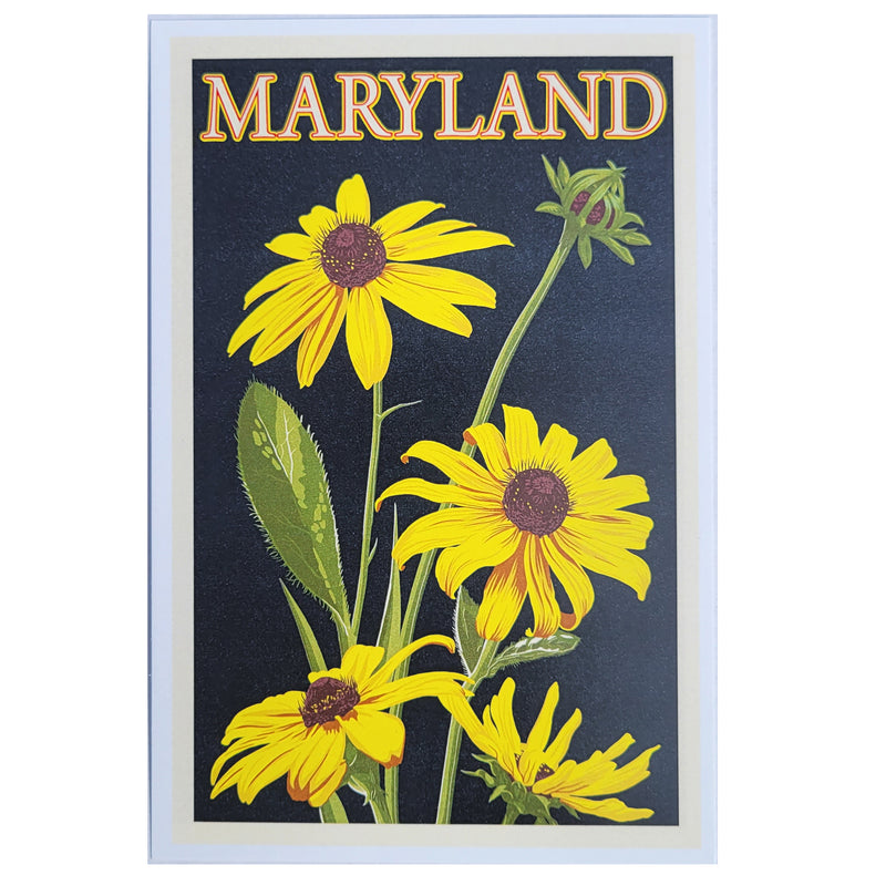 Postcard - Maryland Black Eyed Susans