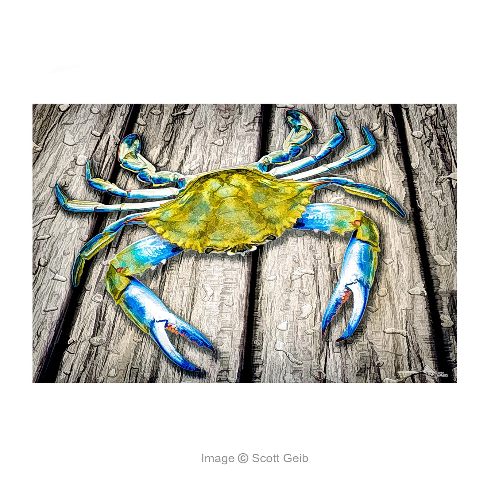 Blue Crab on Dock Note Card