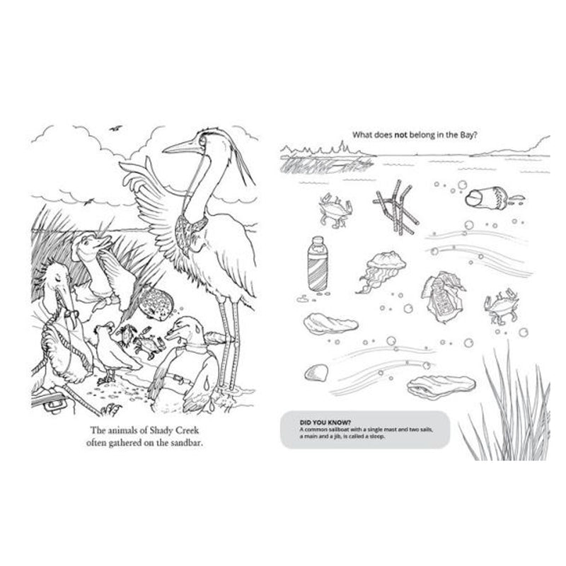 Chadwick the Crab Activity Book Game