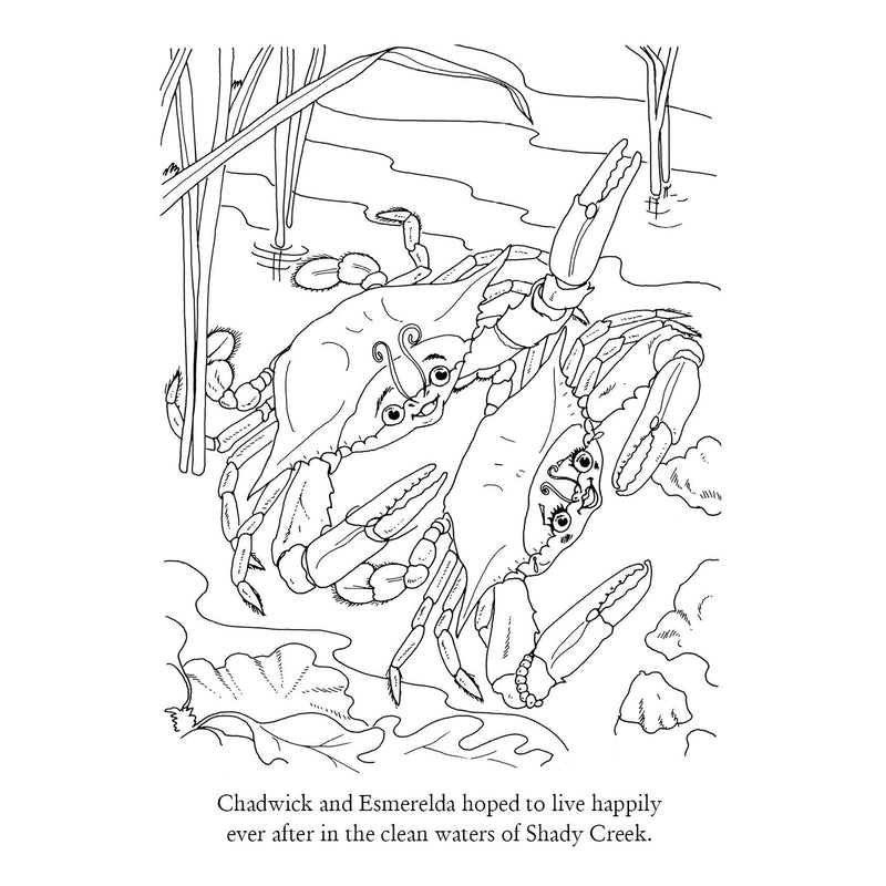 Chadwick the Crab Activity Book Coloring Page