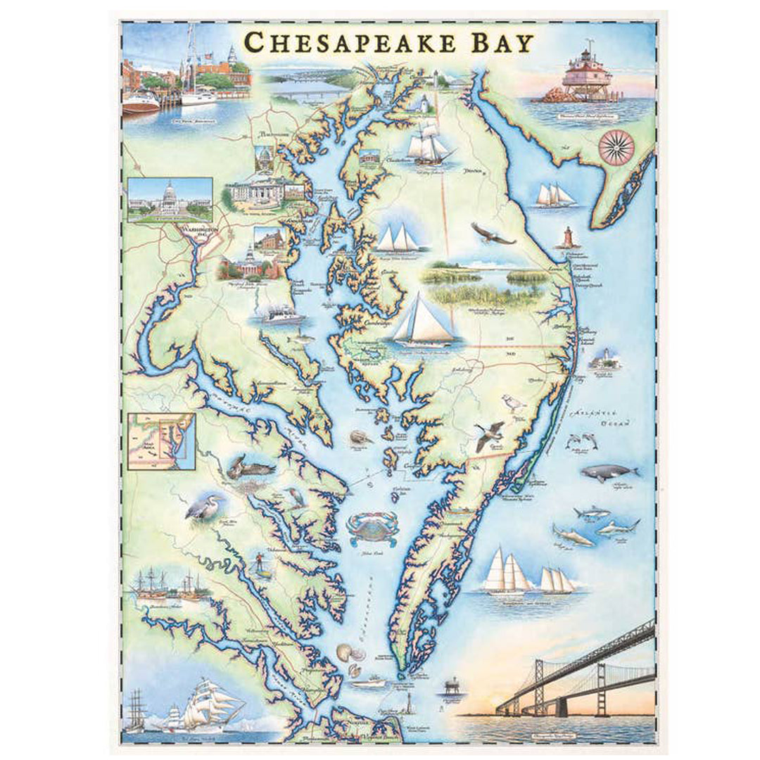 Chesapeake Bay Map Stainless Steel Travel Tumbler (design sample)