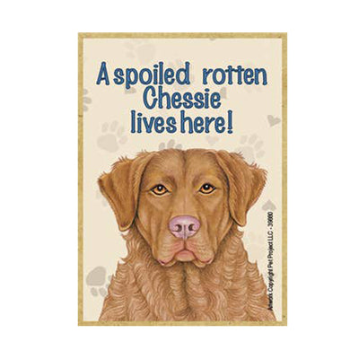 Chesapeake Bay Retriever Wood Magnet - A spoiled rotten Chessie lives here!
