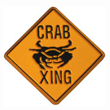 Crab Xing (Crossing) Magnet