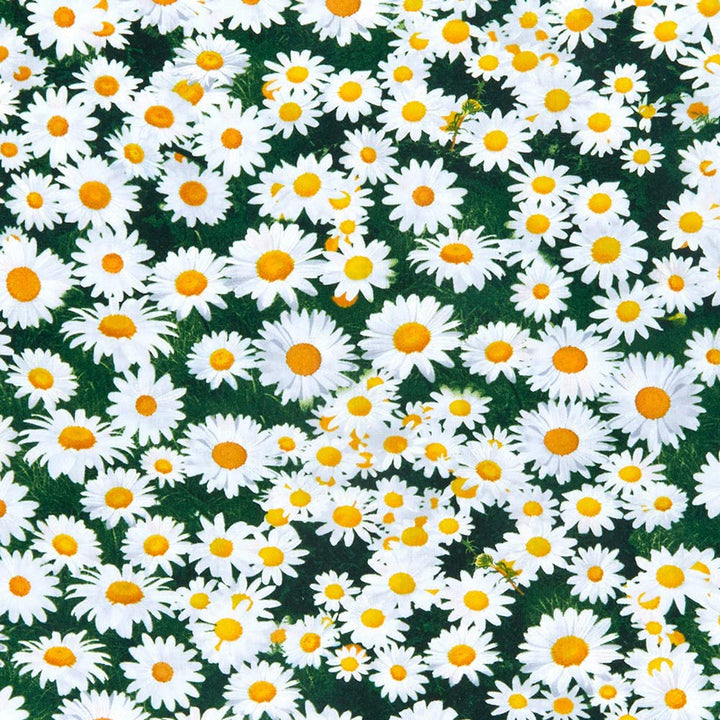 Daisies on Green Microwave Bowl Cozy Potholder Fabric Sample