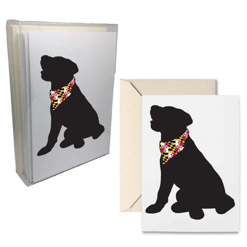 Dog with Maryland Flag Scarf Note Card Box