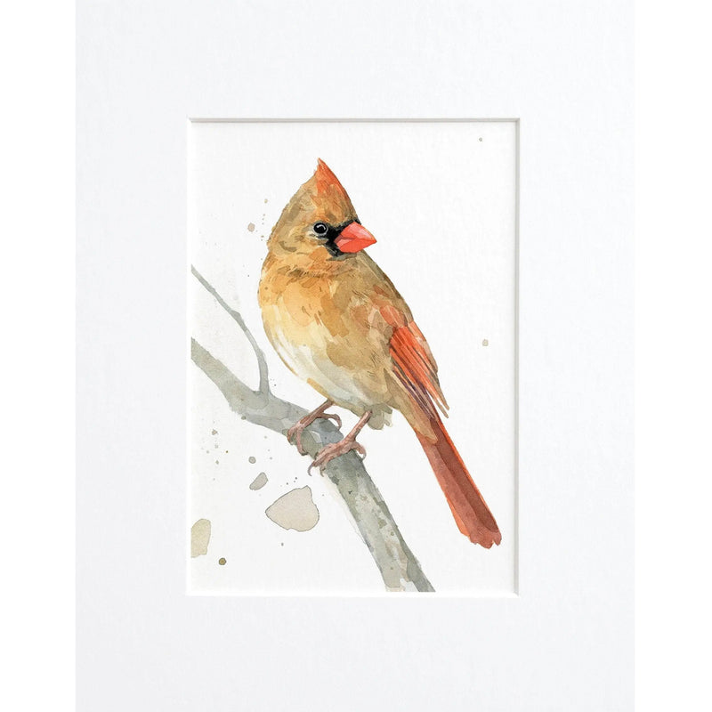 Female Cardinal Watercolor Art Print