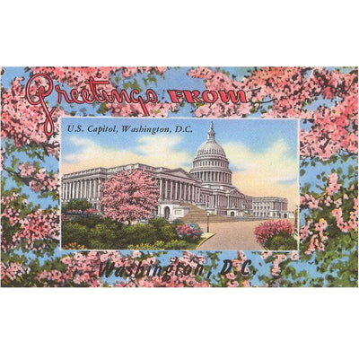 Postcard Vintage Style - Greetings From US Capitol, Washington DC (close up)