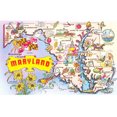 Postcard Vintage Style - Greetings From Maryland Map (close up)