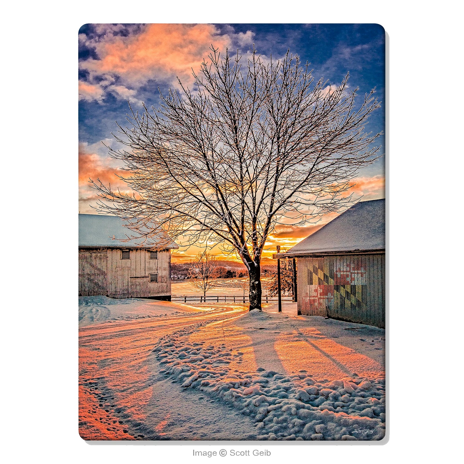 Maryland Flag Barn Solstice Glass Cutting Board