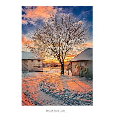 Maryland Flag Barn Solstice Note Card