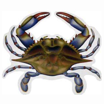 Natural Female Blue Crab (Sook) Sticker