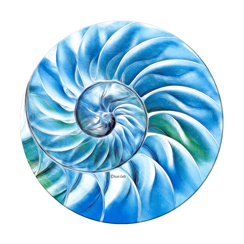 Nautilus Shell Neoprene Coaster
