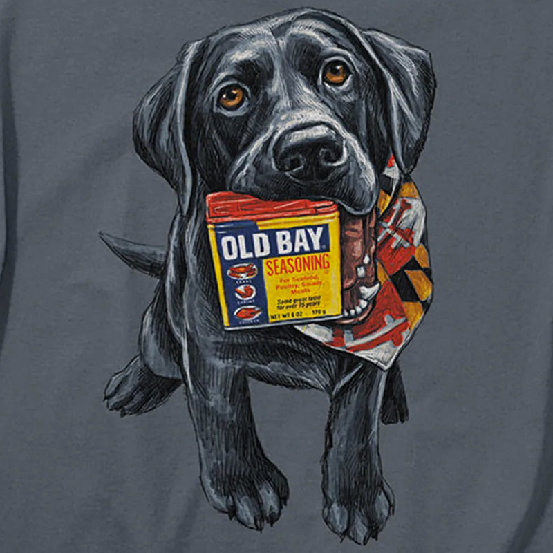 Old Bay Seasoning Good Boy T-Shirt Design Closeup