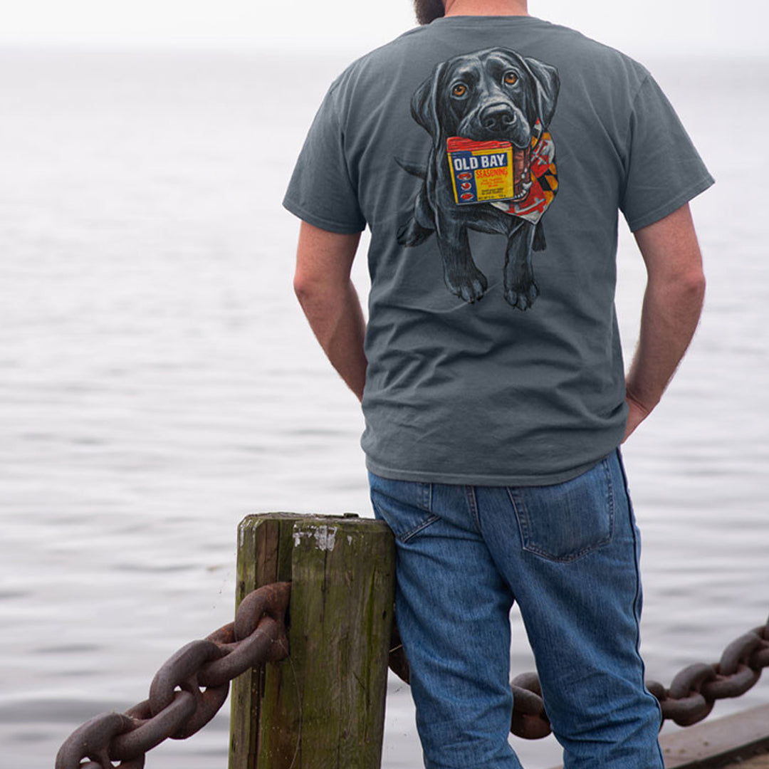 Old Bay Seasoning Good Boy T-Shirt Model