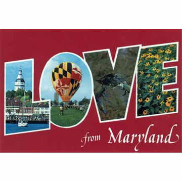 Postcard - Love From Maryland