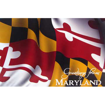 Greetings from Maryland Waving Flag Postcard