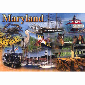 Postcard - Maryland Photo Collage