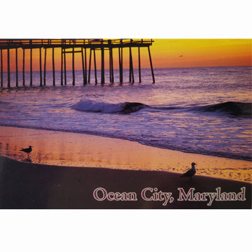 Postcard - Ocean City Beach Sunset Pier