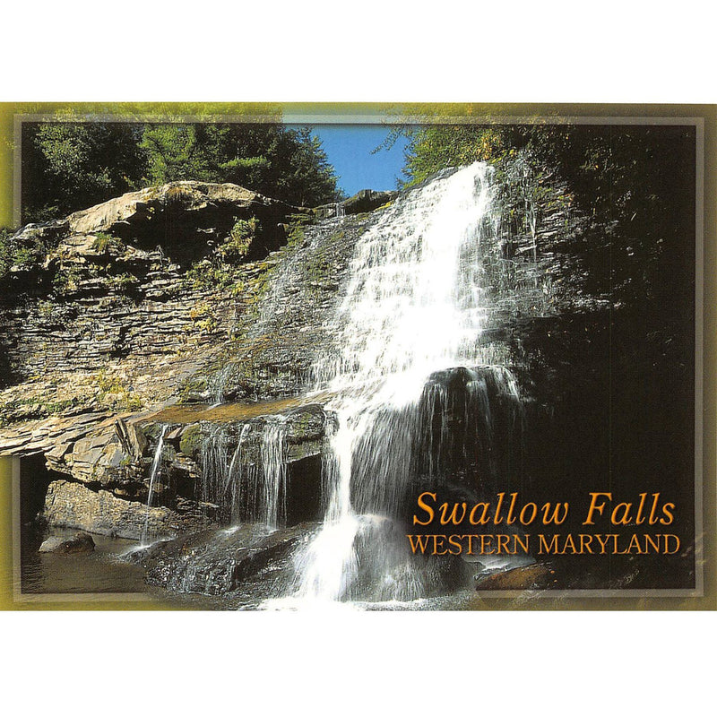Swallow Falls Western Maryland Postcard